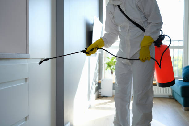 Best Mold Damage Repair  in Evans, GA