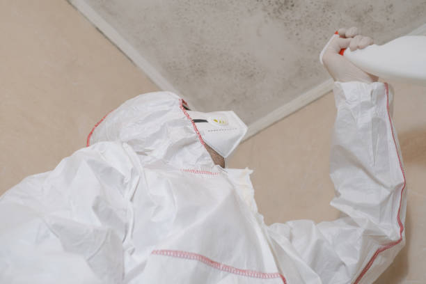 Best Mold Testing  in Evans, GA